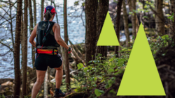 image article Course en bois