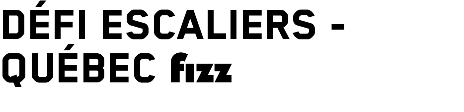 logo Defi escaliers quebec