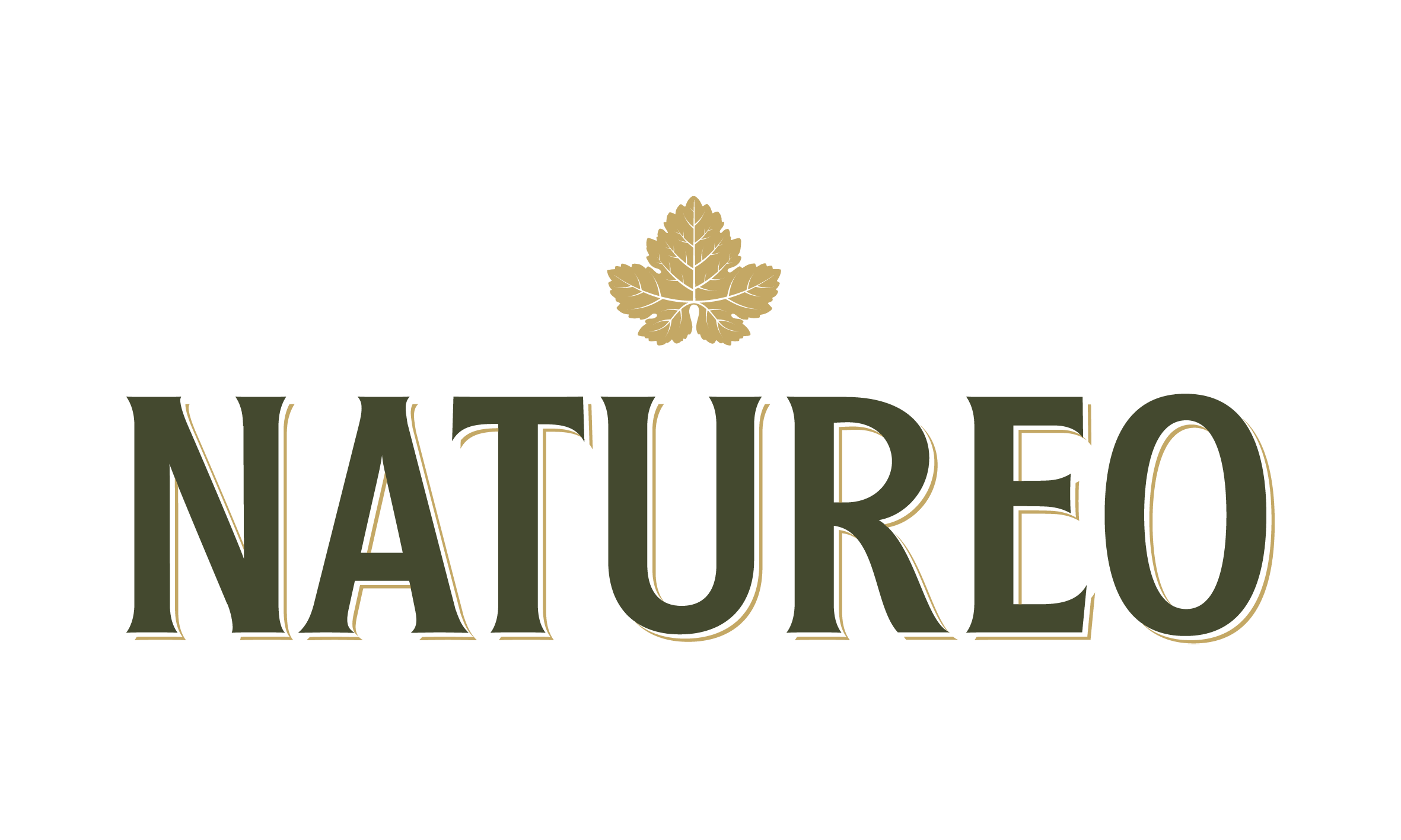Logo - Torres Natureo MDQ